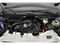 2026 Ford Transit Cargo Van T-250 148" Hi Rf 9150 GVWR RWD