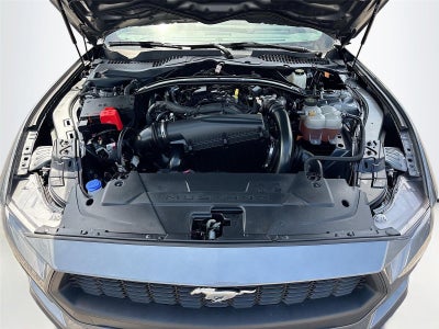 2025 Ford Mustang EcoBoost
