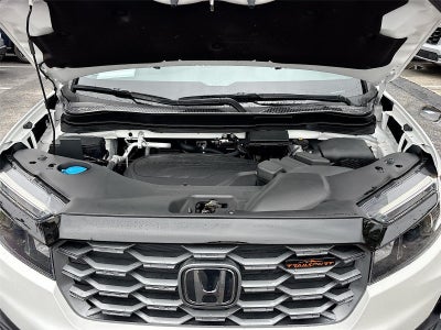 2024 Honda Passport TrailSport