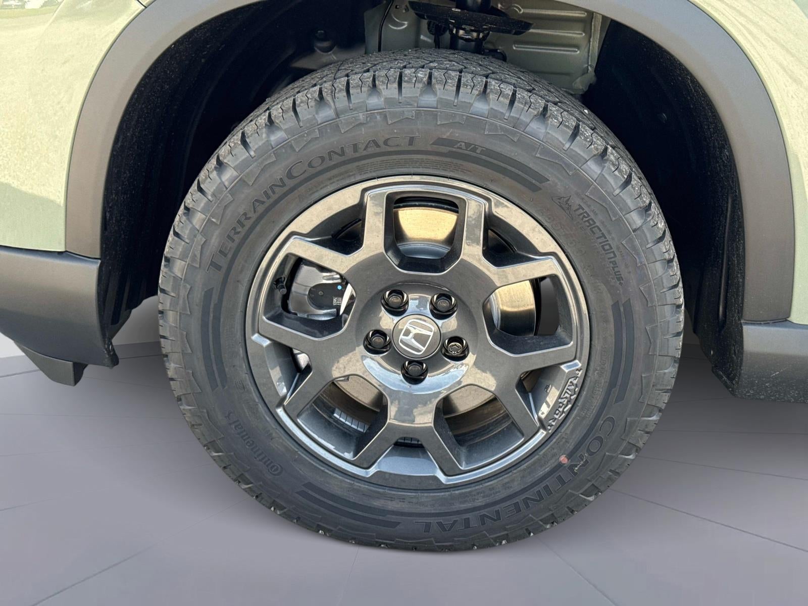 2025 Honda Civic Type R Manual